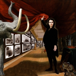 The Collector / The Artist in Her Museum (2005)