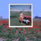 Poppies (2011)